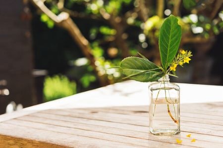 Miniature Bud Vases Showcase Smaller Flowers