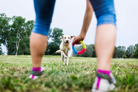 Look For a Recall Book if Your Dog Doesn’t Come When Called