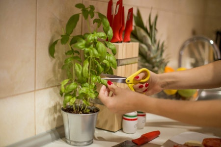 See If the Set Comes With Any Other Useful Kitchen Tools