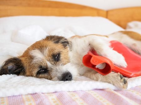 Traditional Hot Water Bottles Stay Warmer for Longer