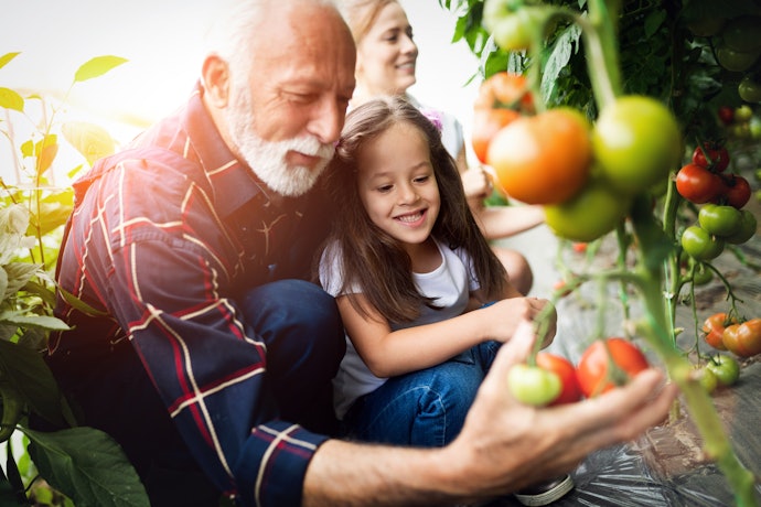 Hoping to Become More Self-Sufficient? Try a Book on Growing Fruit and Veg