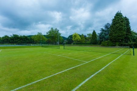 Grass Court-Specific Balls Are a Must if You Do Play on Natural Surfaces