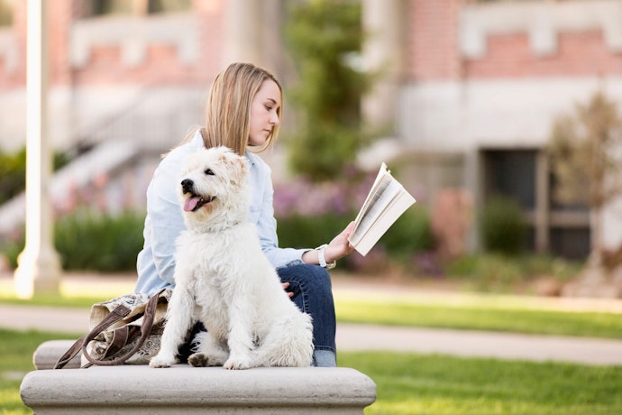 Paperbacks Are Lightweight but Less Durable