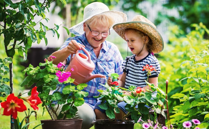 Choose a Book on Cultivating Flowers to Boost Your Mood
