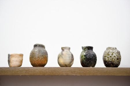 Decorative Vases Look Amazing With or Without Blooms