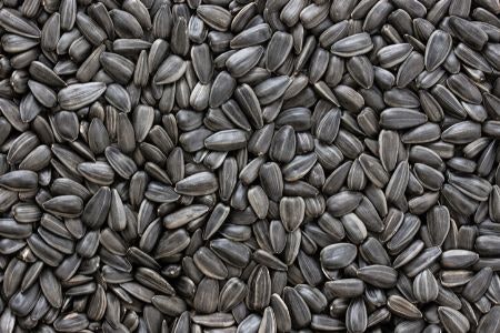 Black Sunflower Seeds Are a Versatile Winter Food for Birds