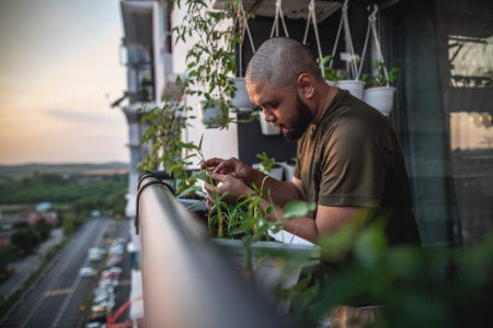 Plants Are Picky About Where They Live, so Consider Your Growing Location
