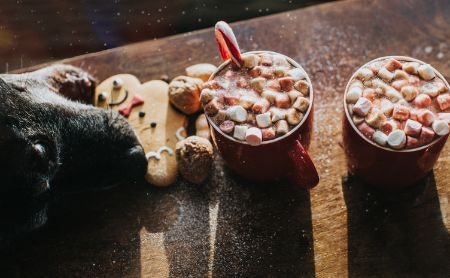 For Hungry Hounds, Find Festive Food, Drink and Treats
