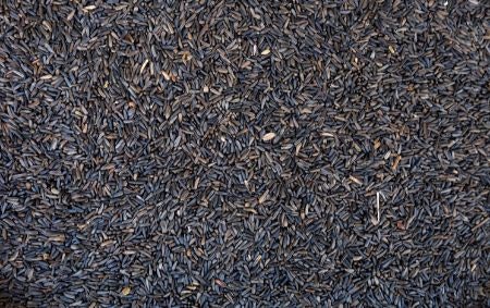 Nyger Seeds Are High in Oil and Great for Small Birds