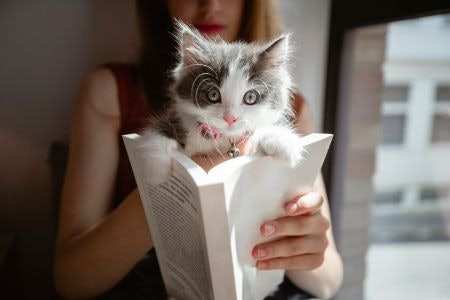 Cat-Themed Fiction and Biographies Offer an Exciting Narrative