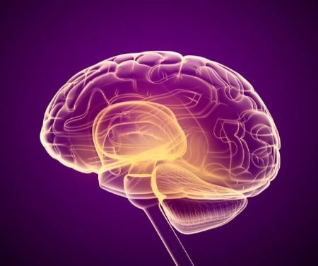 Solving a Puzzle Exercises Both Sides of Your Brain