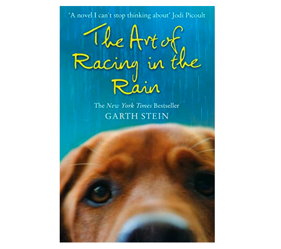 10 Best Books About Dogs UK 2024 | Cesar Millan, Kerry Irving and More ...