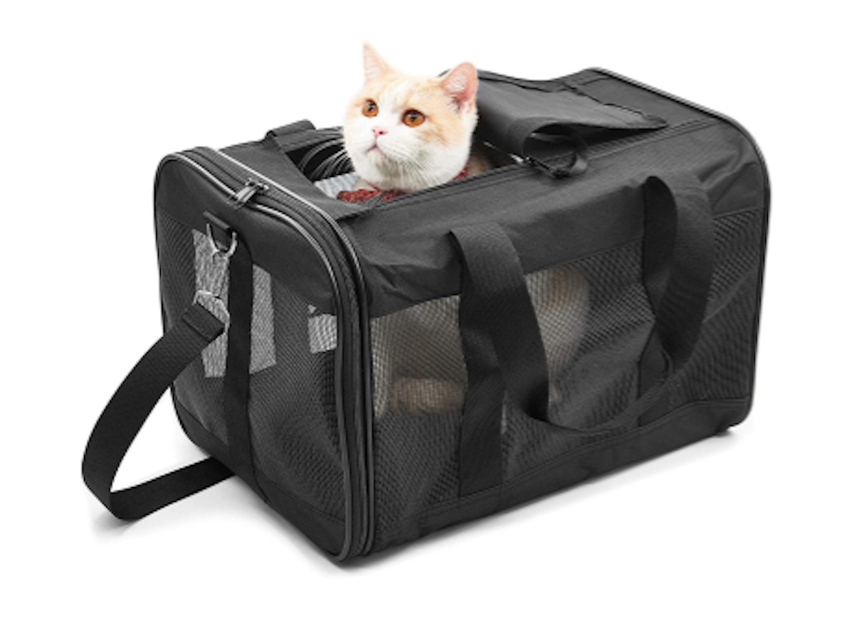 10 Best Cat Carriers UK 2024 mybest
