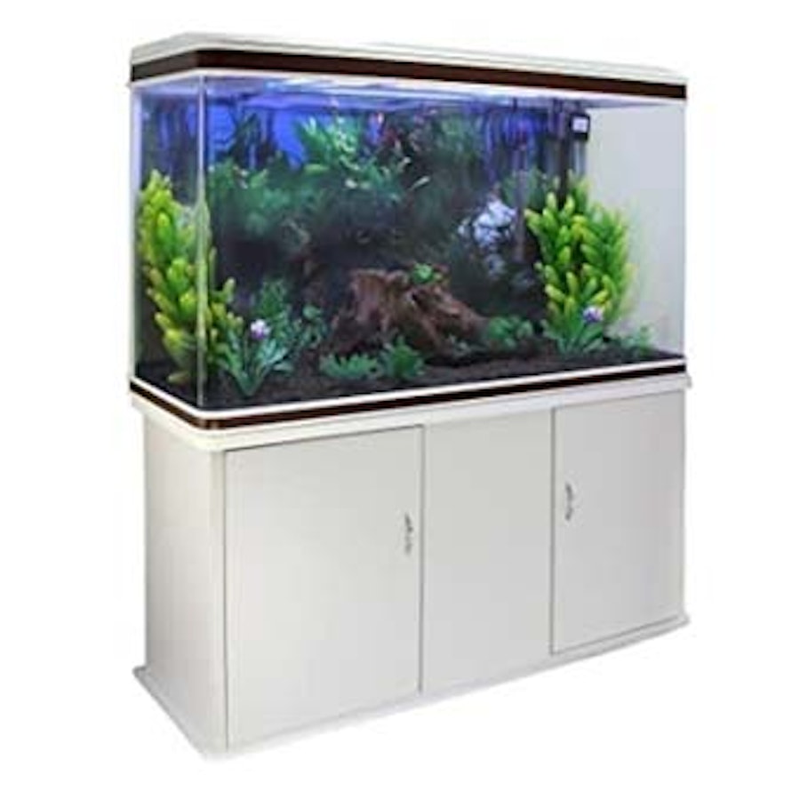 Best 60 Gallon Fish Tank With Stand And Supplies for sale in