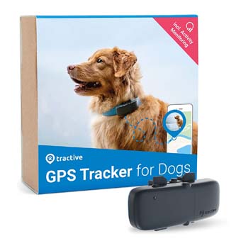 10 Best Dog GPS Trackers UK 2024 Tractive Pawfit and More mybest