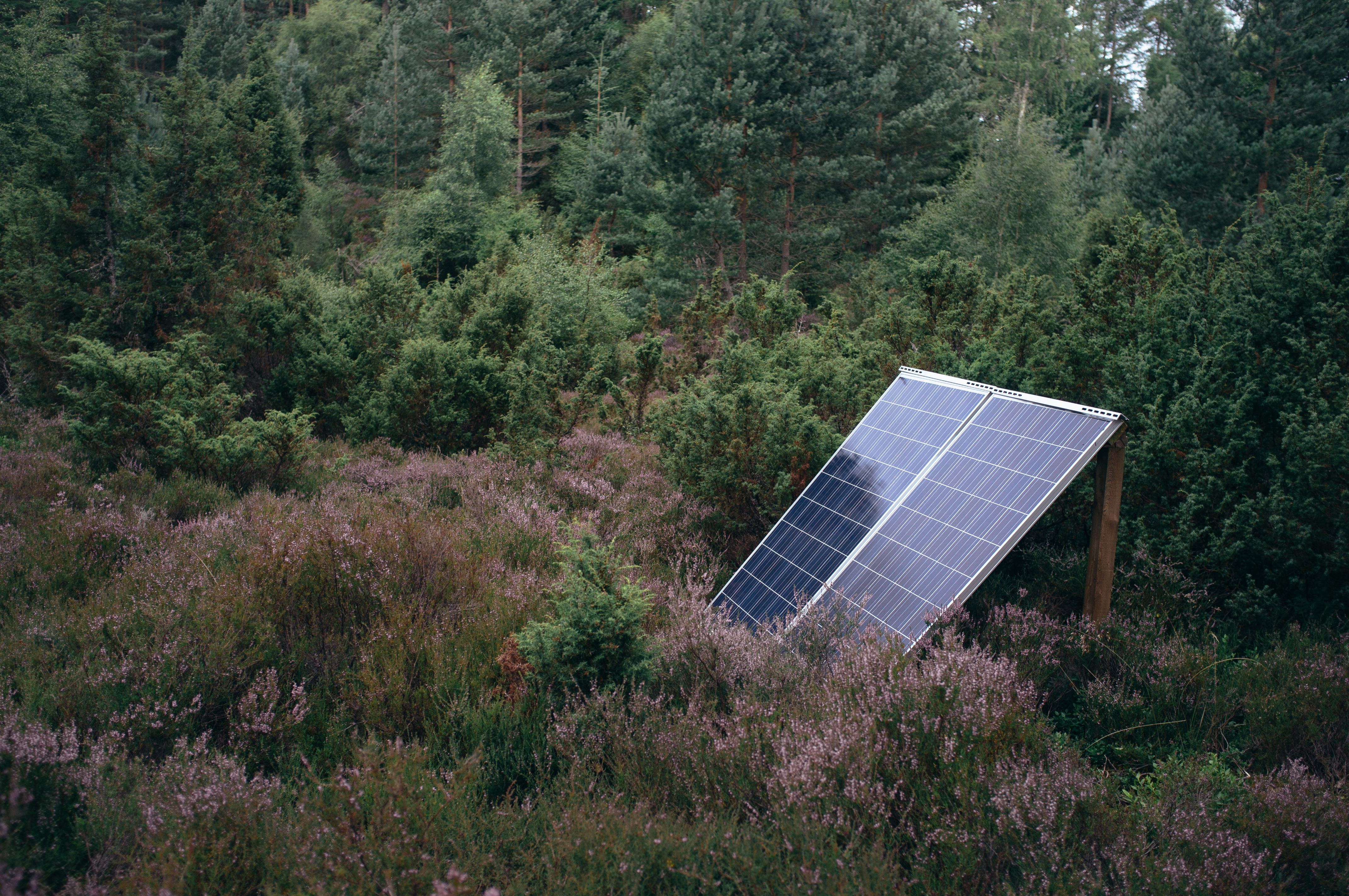 Chloe and Talib's Top 10 Must Have Products for Off-Grid Living