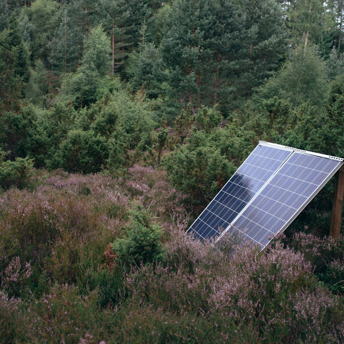 Chloe and Talib's Top 10 Must Have Products for Off-Grid Living