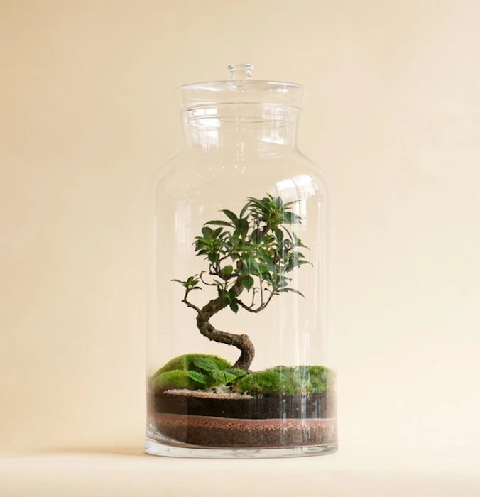 Four Store Capsule Terrarium by NIWA Design Translation missing: en-GB.activerecord.decorators.item_part_image/alt