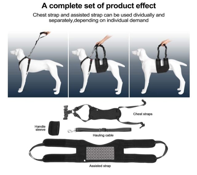 Dog Support Harness Set  2