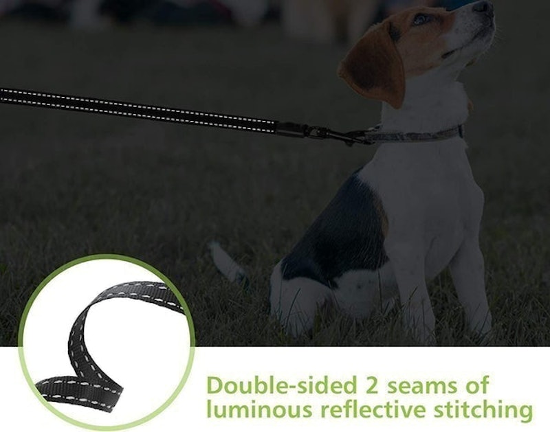 Retractable Medium Dog Lead 6