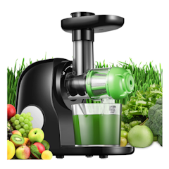 Slow Masticating Juicer