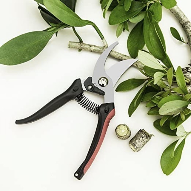 ZEM Pruning Shears 2