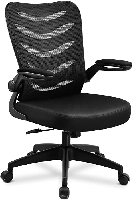 Office Desk Chair with Armrest 1