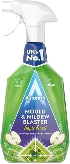 Mould & Mildew Remover 1