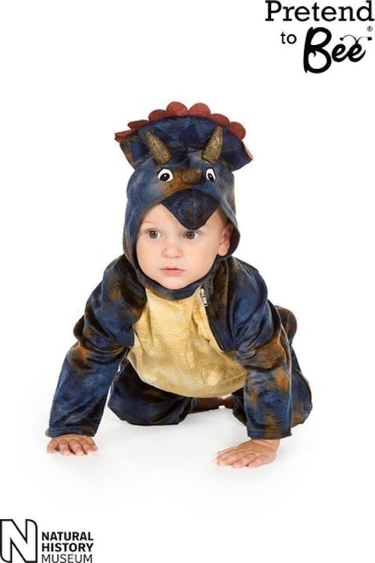 Triceratops Costume 1