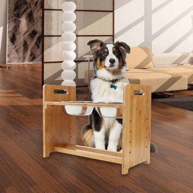 Adjustable Raised Pet Stand 3