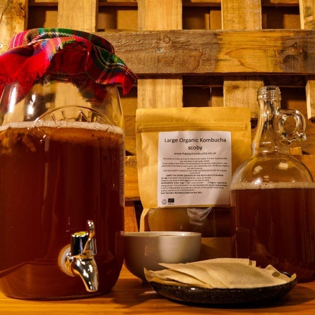 10 Best Kombucha Starter Kits | UK Nutritionist Reviewed 1