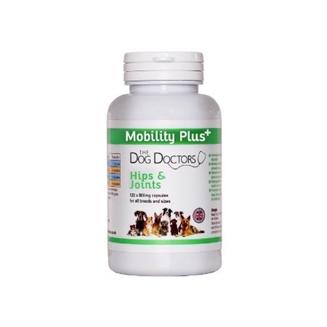 10 Best Dog Joint Supplements 2024 | UK Veterinary Surgeon Reviewed 2