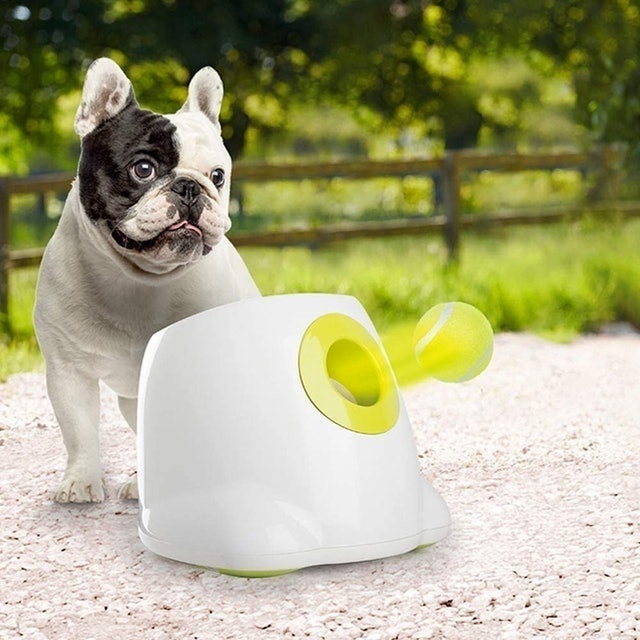 Automatic Ball Launcher 2