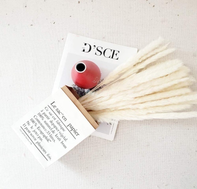Natural Dried Pampas Grass  2