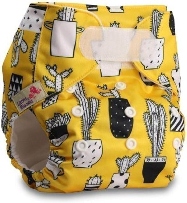 Reusable Pocket Cloth Nappy 1