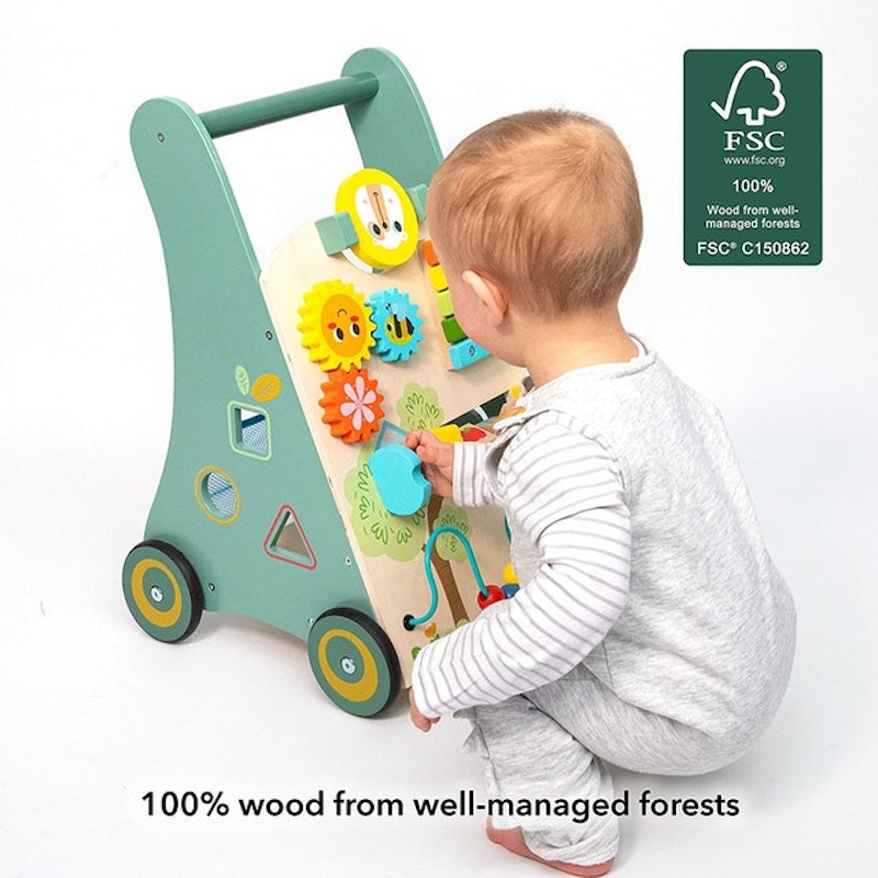 Educational Wooden Baby Walker 2
