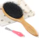 BESTOOL Hairbrush 1