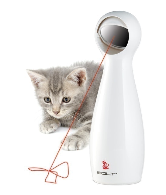 FroliCat Bolt Laser  2