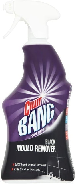 Black Mould Remover 1