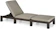 Transcontinental Allibert Daytona Sun Lounger 1