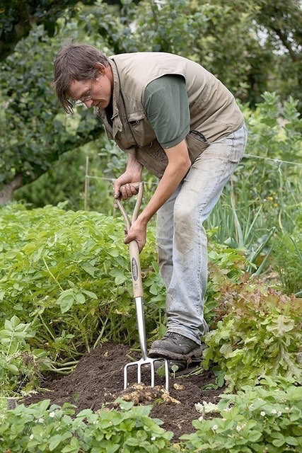 Traditional Digging Fork 4