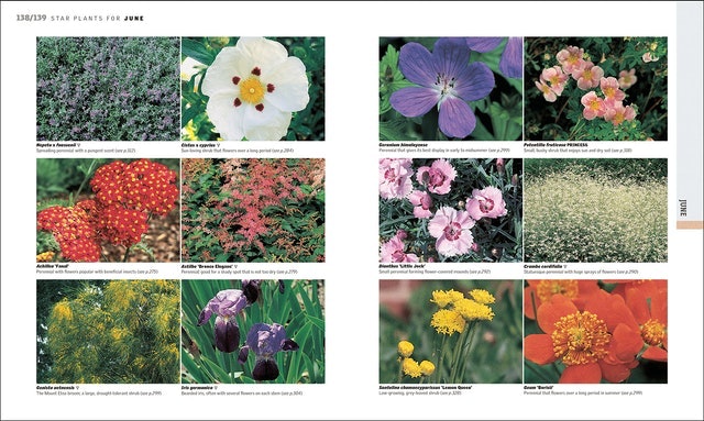 Gardening Through the Year 3
