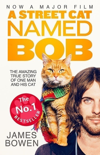 10 Best Books About Cats UK 2024 | Judith Kerr, James Bowen and More 4