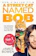 James Bowen A Street Cat Named Bob 1