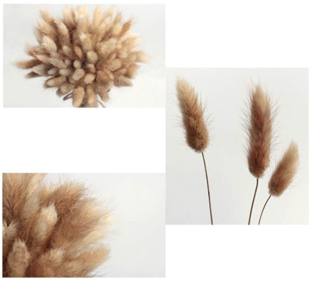 Natural Dried Flowers 2
