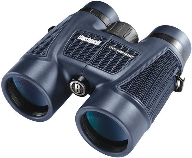 10 Best Birdwatching Binoculars UK 2024 | Nikon, Bushnell and More 2