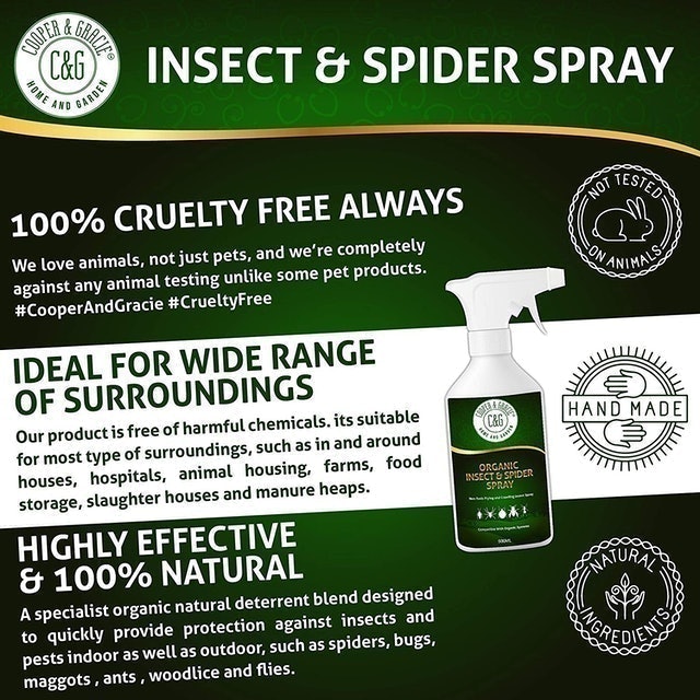 Organic Insect & Spider Spray 2