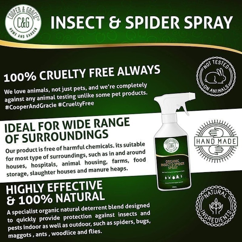 Organic Insect & Spider Spray 2