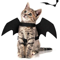 Bat Wings Outfit Harness