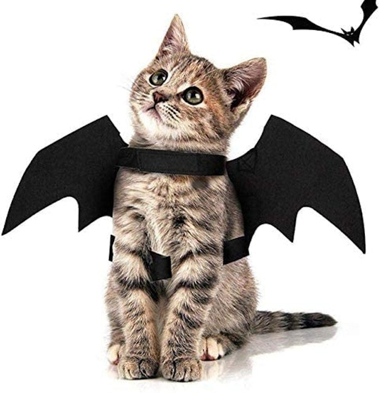 Bat Wings Outfit Harness 1